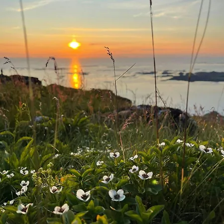 Near Svartisen With Midnight Sun Дом отдыха